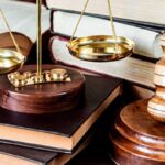 Ramas del derecho